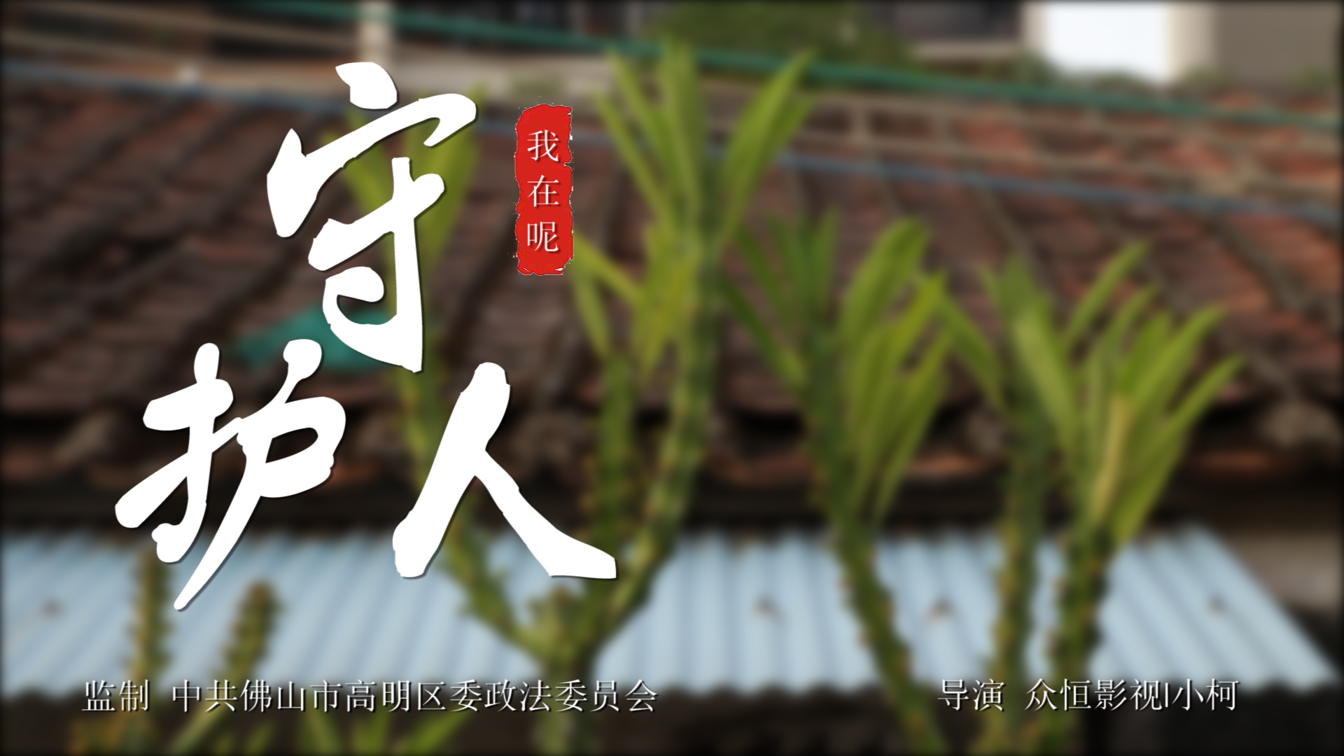 【志愿者風(fēng)采】佛山高明守護(hù)人：感謝你們，挺身而出