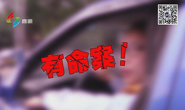 高明警視第100期《“剿”匪》