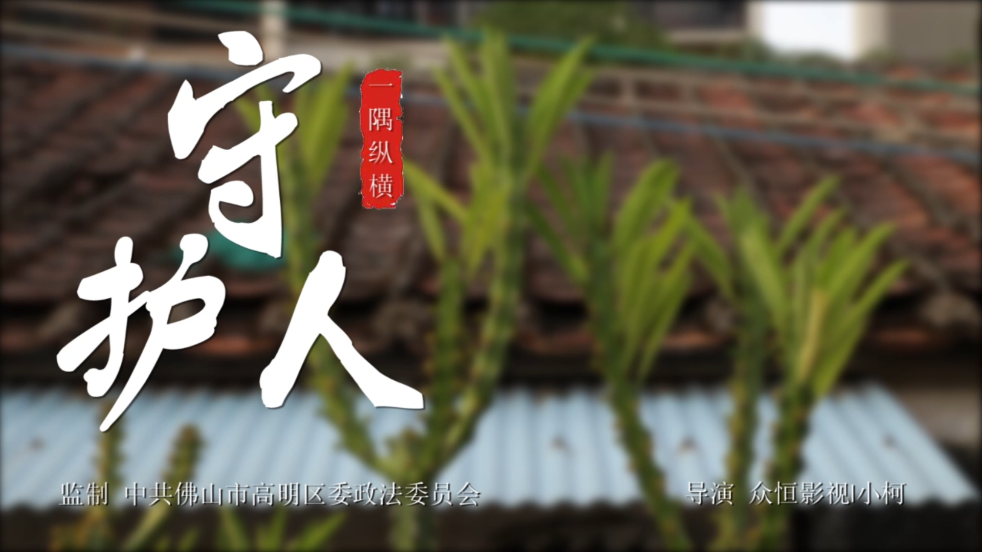 【榜樣力量】佛山高明許忠義：做干部就應(yīng)該帶頭沖在最前面