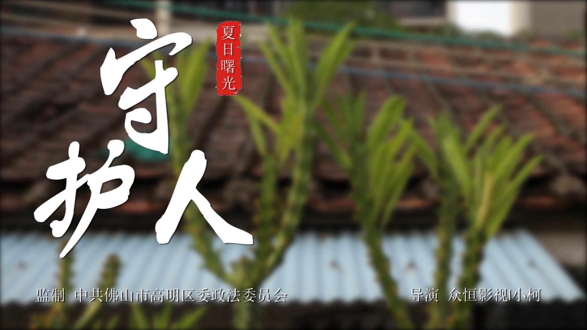 【榜樣力量】佛山高明：夏日現(xiàn)曙光，勿忘“驅(qū)寒人”